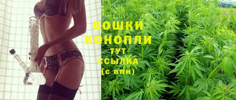 Бошки марихуана OG Kush  хочу наркоту  kraken ССЫЛКА  Кунгур 